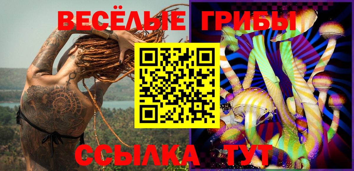 Псилоцибиновые грибы мухоморы  Вход с VPN  Нижнеудинск  Галлюциногенные грибы мицелий 