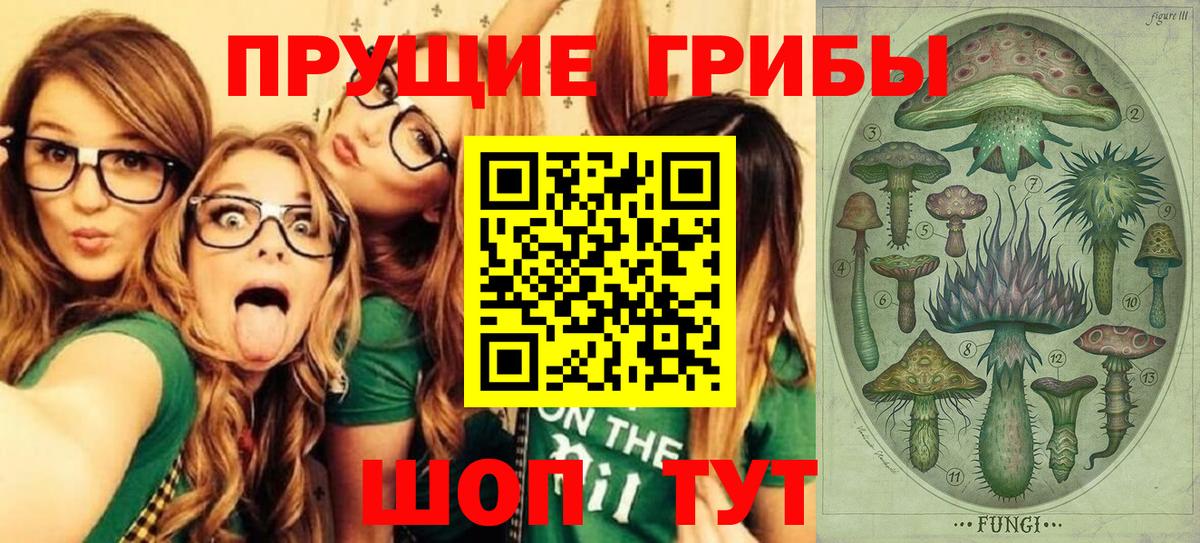 Псилоцибиновые грибы GOLDEN TEACHER Нижнеудинск